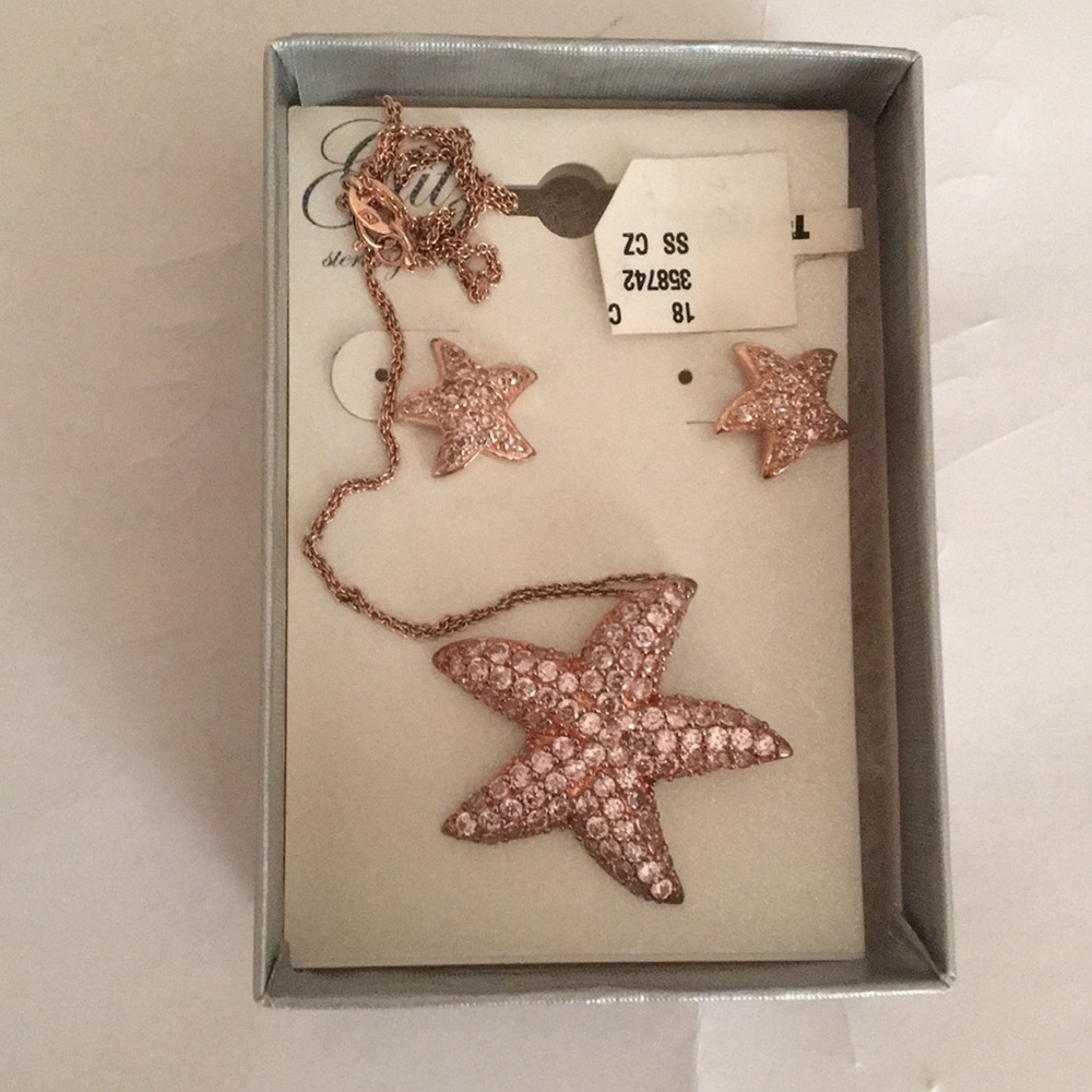 Necklace and earrings 925 sterling silver.